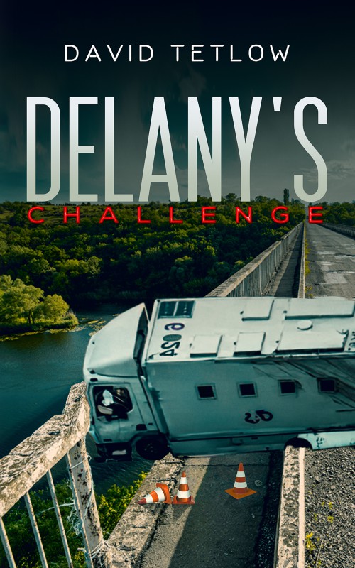 Delany's Challenge-bookcover