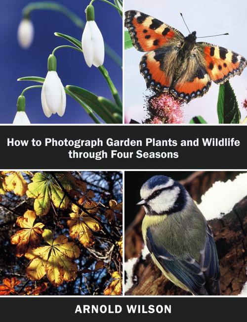 How To Photograph Garden Plants and Wildlife Through Four Seasons -bookcover