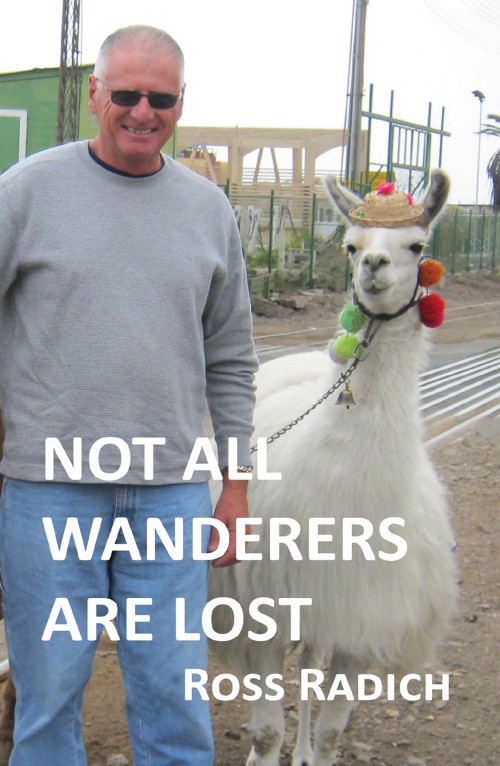 Not all Wanderers are Lost 