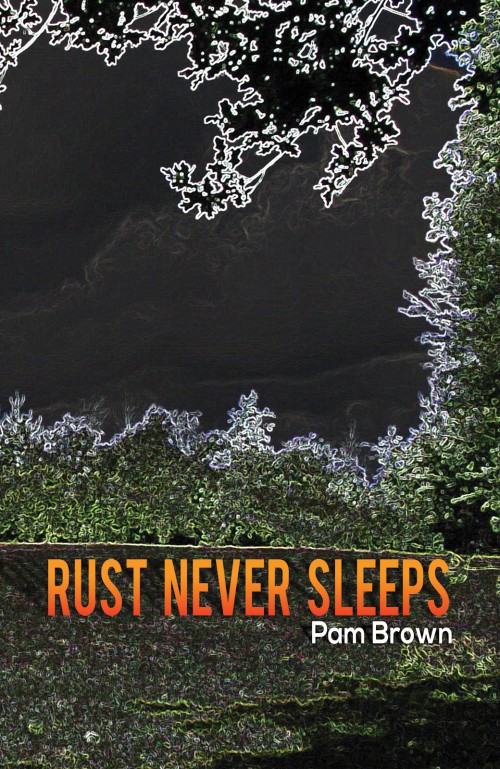 Rust Never Sleeps-bookcover