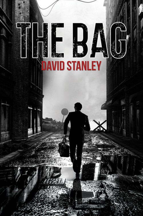 The Bag -bookcover