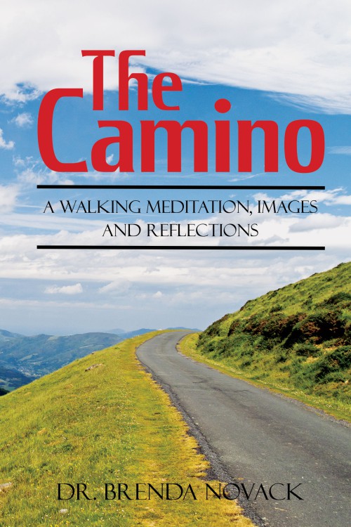 The Camino: A Walking Meditation; Images and Reflections 