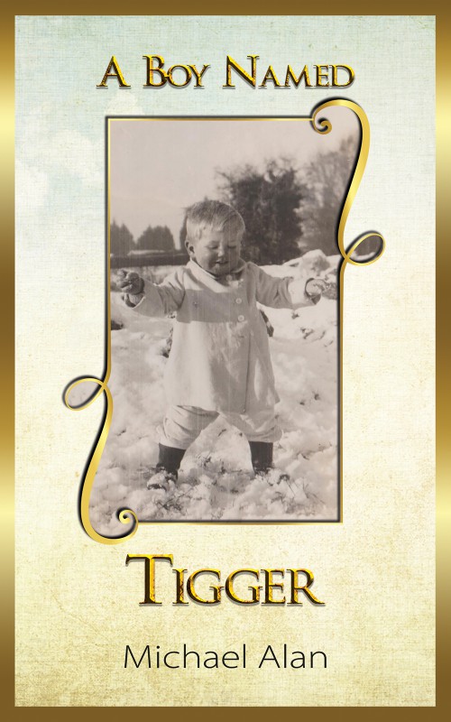 A Boy Named Tigger-bookcover