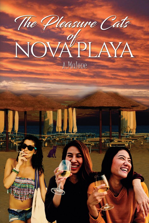 The Pleasure Cats of Nova Playa-bookcover