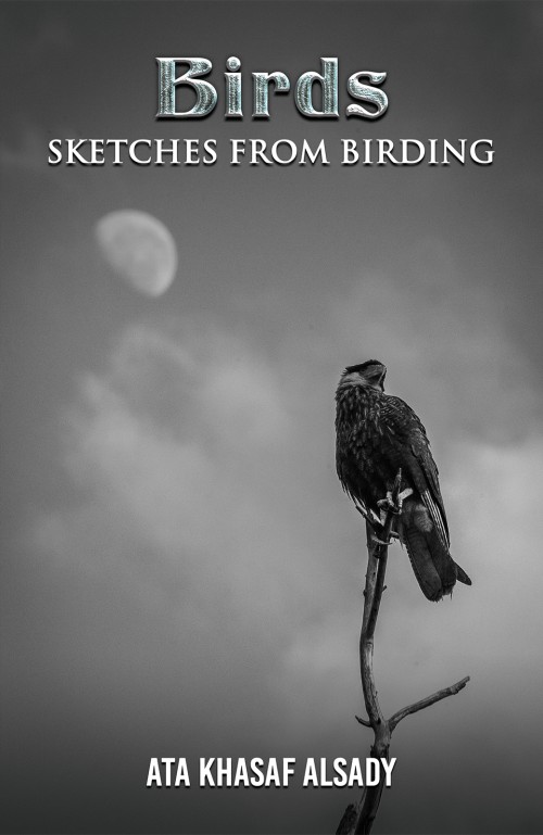 Birds: Sketches from Birding-bookcover