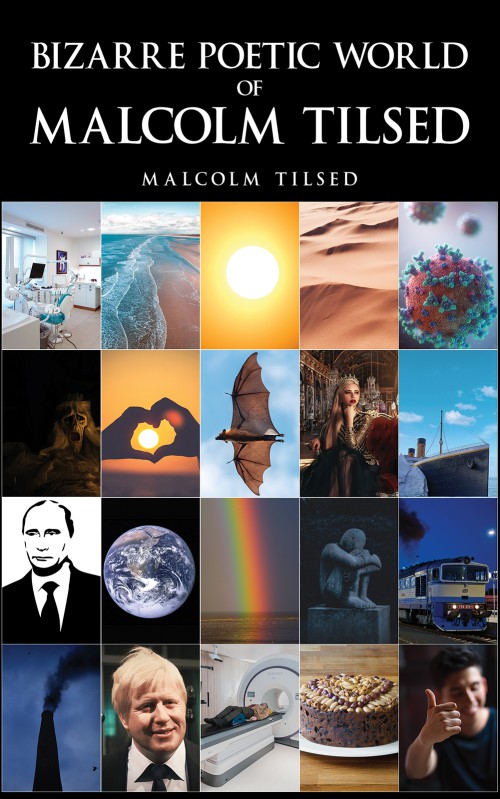 Bizarre Poetic World of Malcolm Tilsed-bookcover