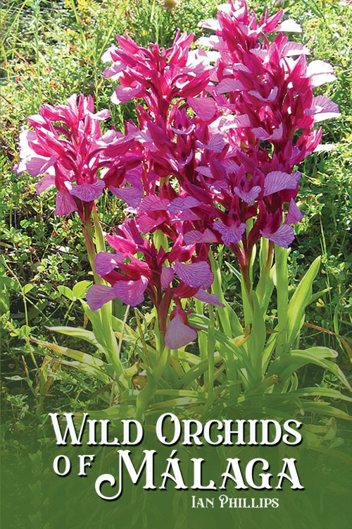 Wild Orchids of Málaga-bookcover