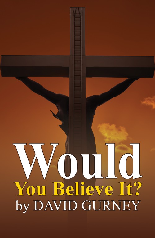 Would You Believe It? -bookcover