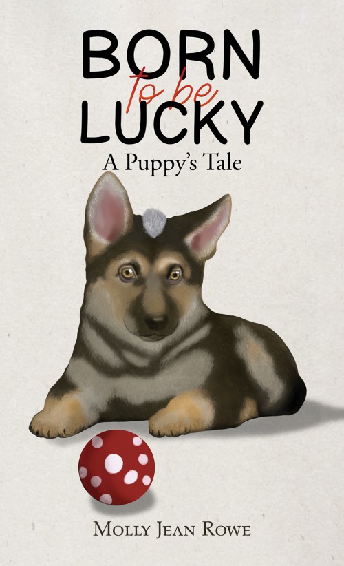 Born to be Lucky-bookcover