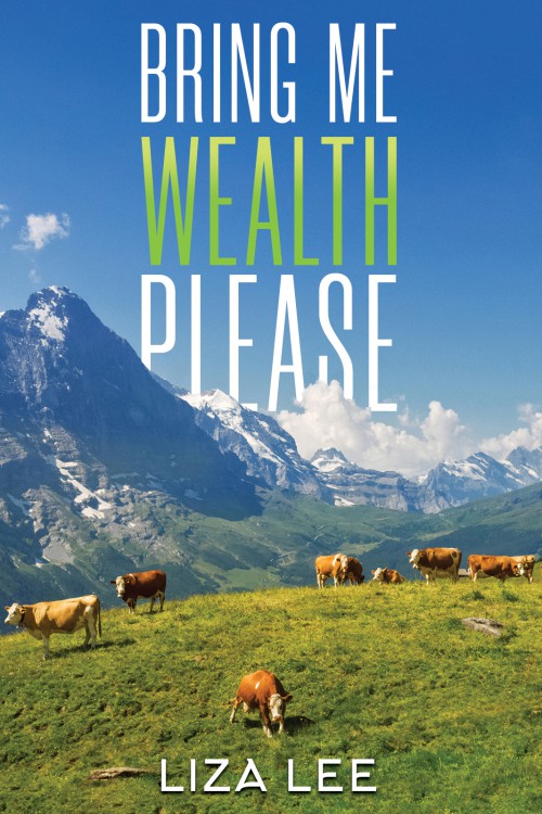 Bring Me Wealth Please-bookcover