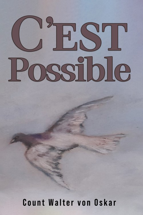 C'est Possible-bookcover