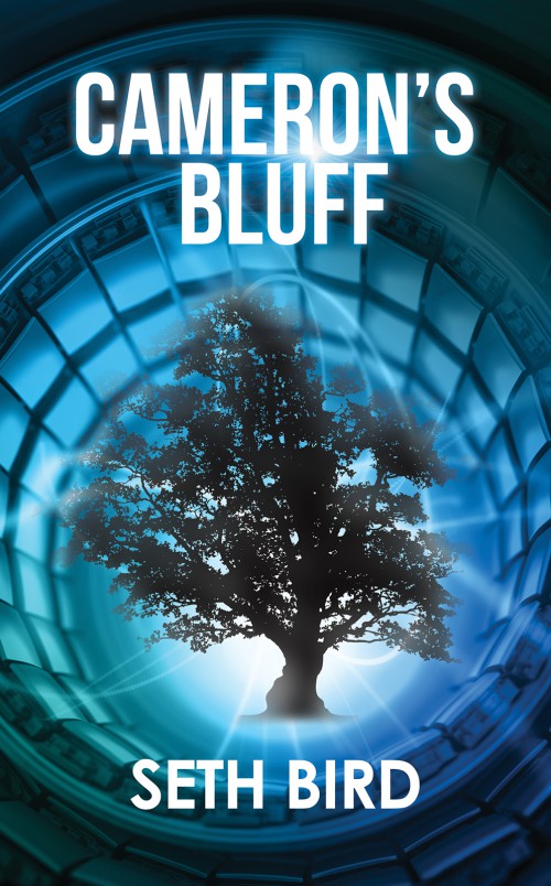 Cameron's Bluff-bookcover