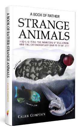 How To Become A Writer | Austin Macauley Publishers