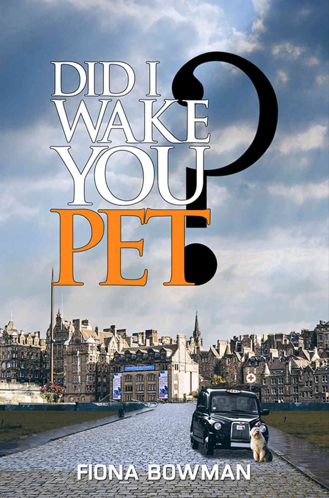 Phoenix FM talks to Author Fiona Bowman about her book 'Did I Wake You Pet?'