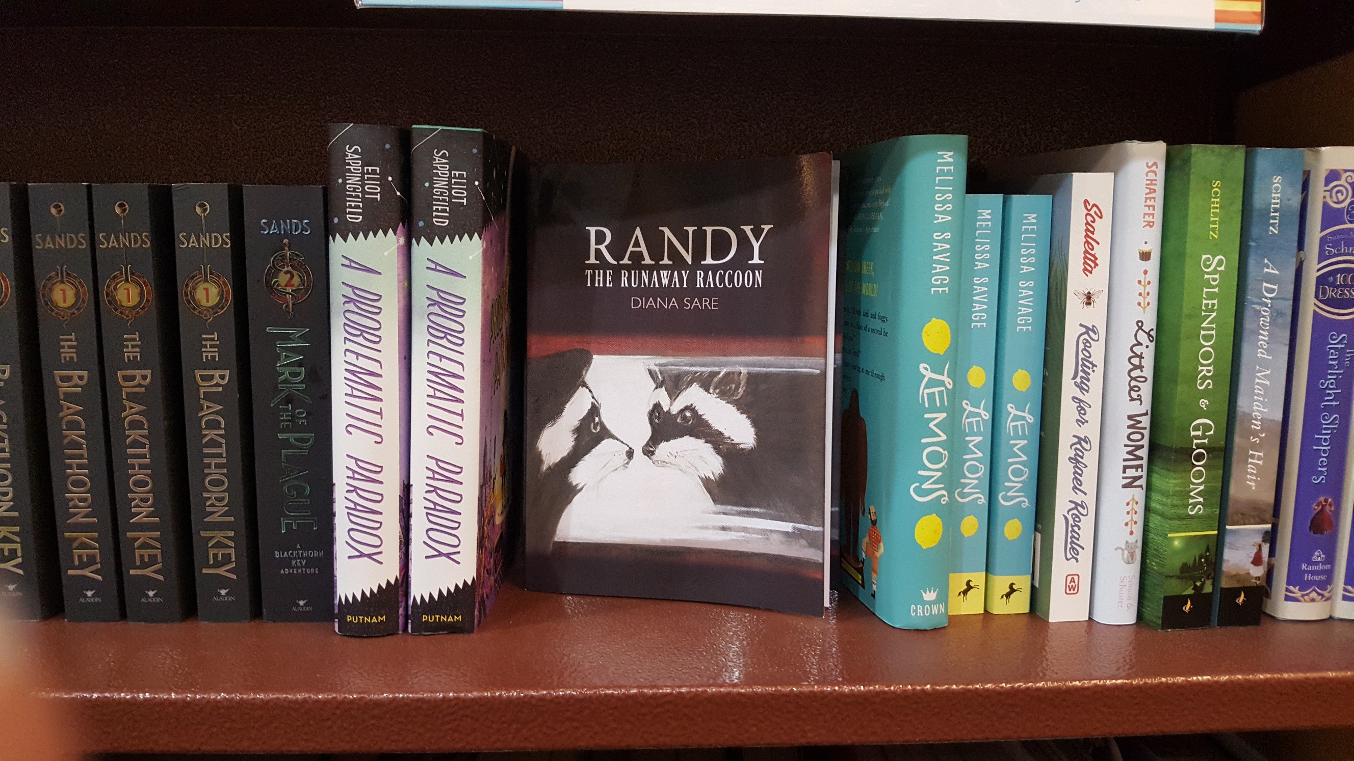 ‘Randy The Runaway Raccoon’ was Found at Chapters Indigo’s Shelf