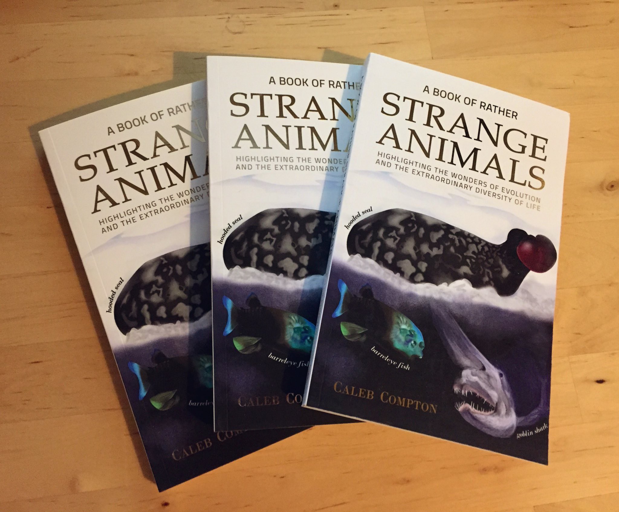 Competition to Win ‘A Book of Rather Strange Animals’ by Caleb Compton