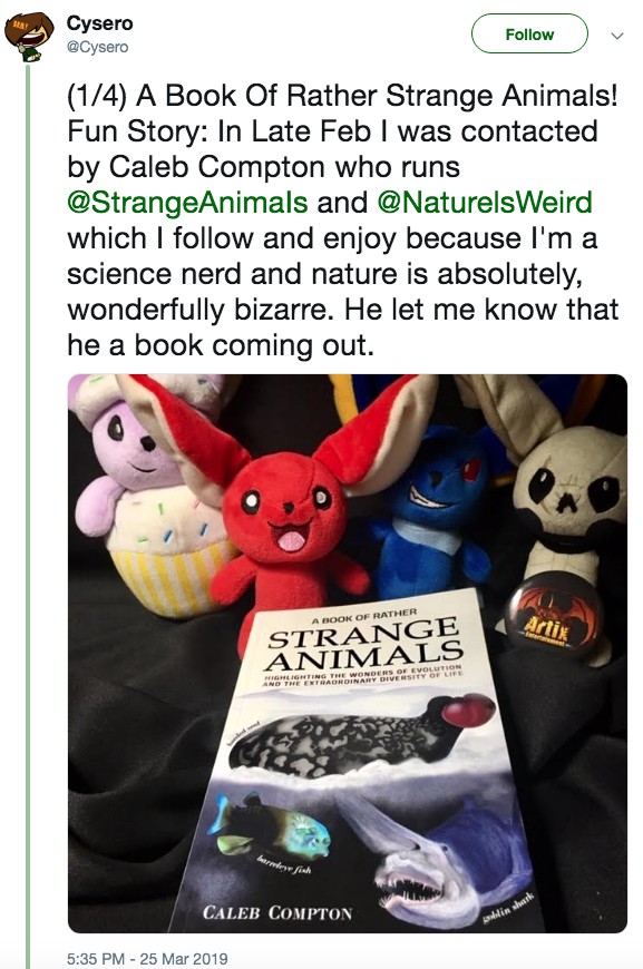 A Book of Rather Strange Animals by Caleb Compton Reviewed by Game Developer Cysero