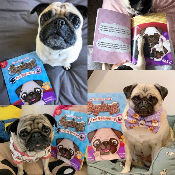 Jessica Parish’s Book, The Adventures of Pugalugs: The Beginning Was Featured on Instagram