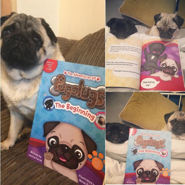 Jessica Parish’s Book The Adventures of Pugalugs: The Beginning Was Featured on Multiple Instagram Accounts
