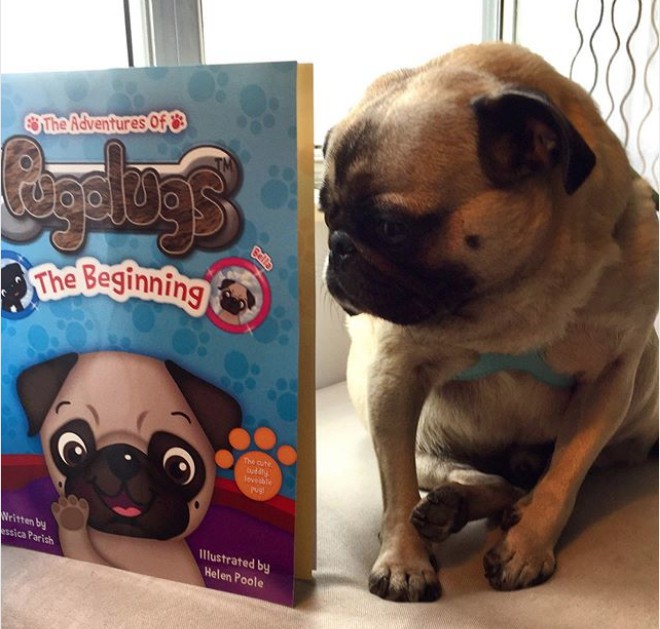 Jessica Parish’s Book, The Adventures of Pugalugs: The Beginning Was Featured on Instagram