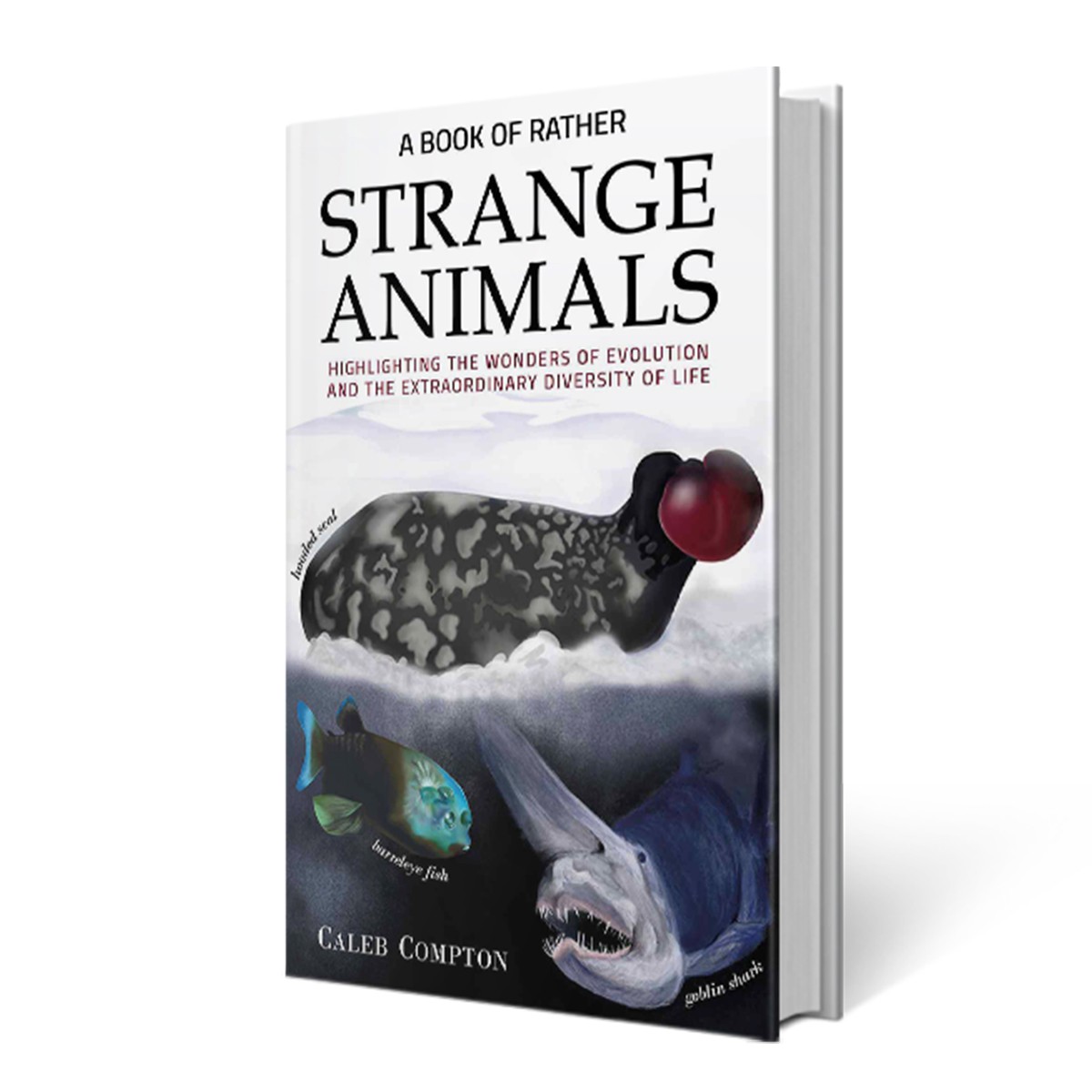 Book Faerie Reviewed A Book of Rather Strange Animals by Caleb Compton on Her Website