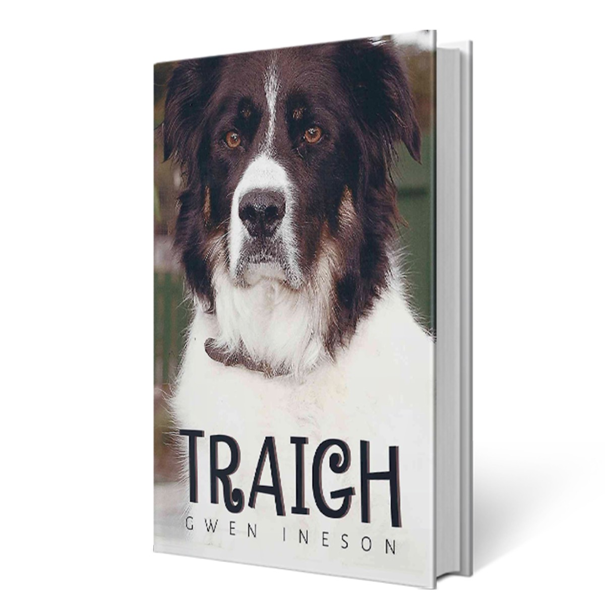The Oban Times Reviewed the Book Traigh by Gwen Ineson