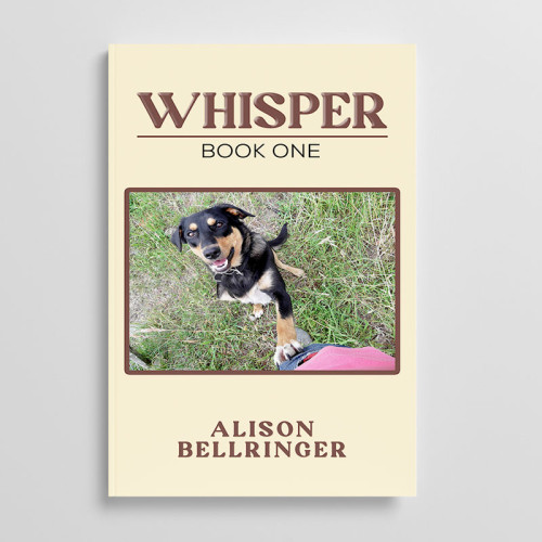 Alison Bellringer in Interview with Reading Nook